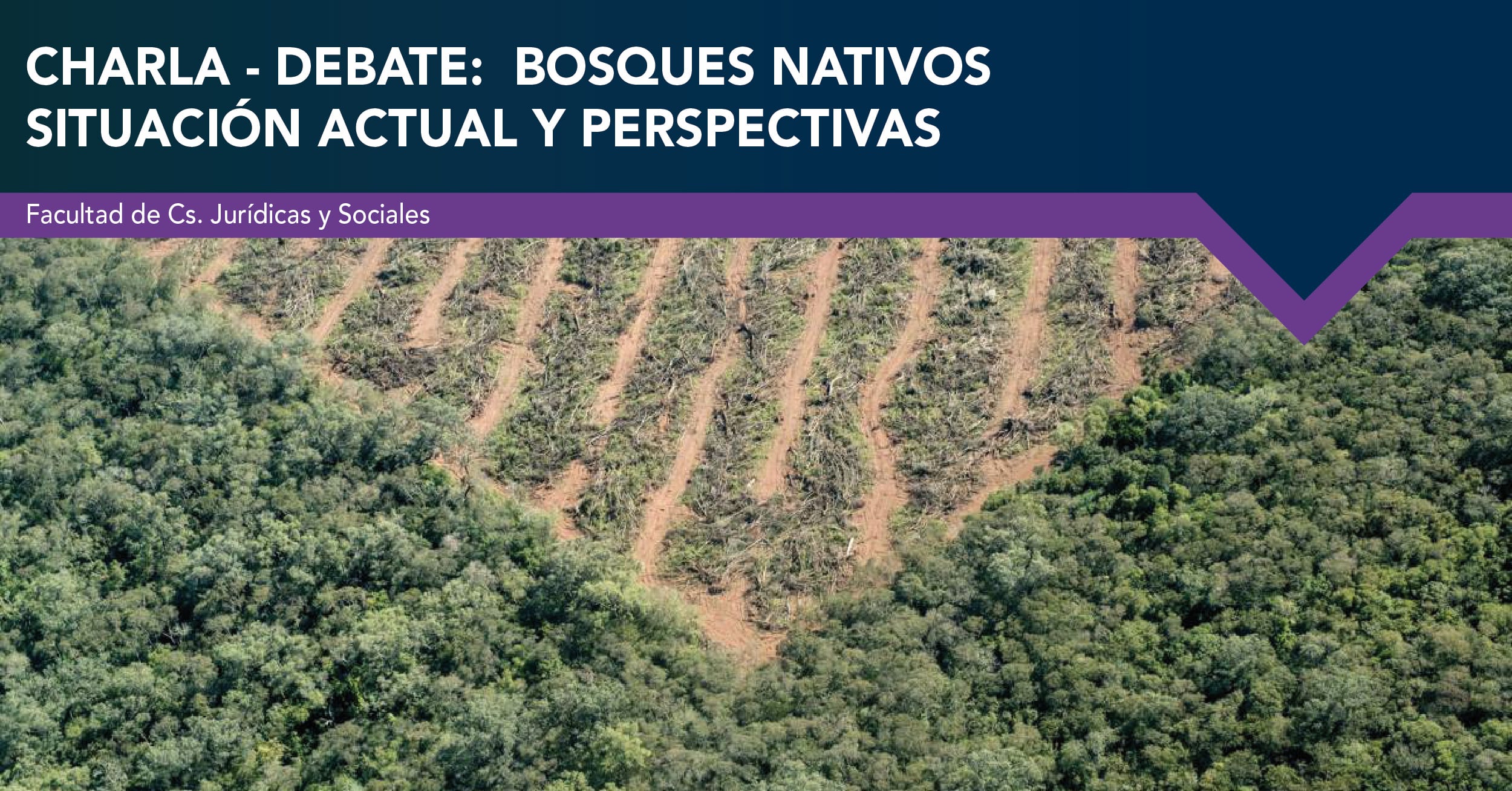 CHARLA DEBATE BOSQUES NATIVOS PLACA 1200x628 min