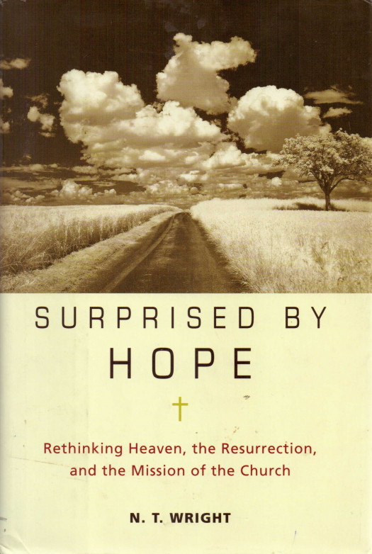 Surprised by hope : rethinking heaven, the resurrecction, and the mission of the church / N. T. Wright - Donación Conferencia de Florida