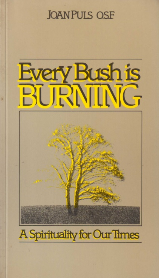 Every bush is burning : a spirituality for our times / Joan Puls - Donación Ana Rita, Carlos, Rubén Pagura Alegría