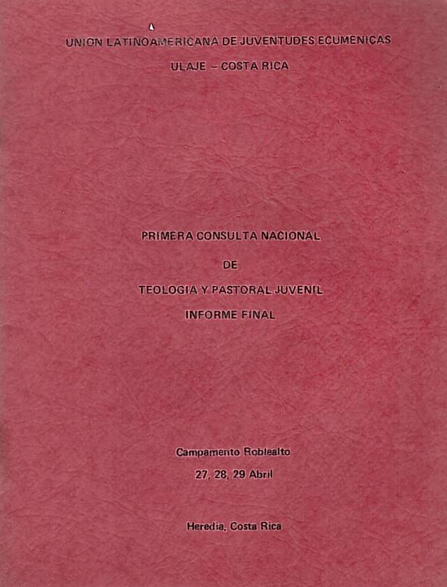 Teología y pastoral juvenil : informe final / Consulta nacional - Donación Ana Rita, Carlos, Rubén Pagura Alegría